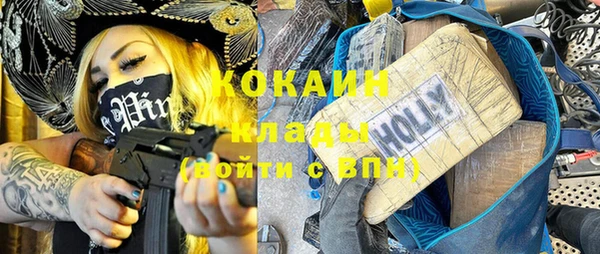 индика Аркадак