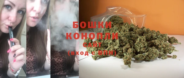 экстази Арсеньев