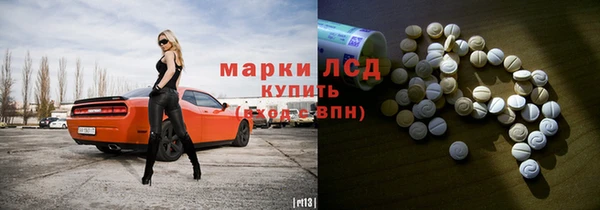 индика Аркадак