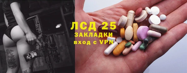 индика Аркадак