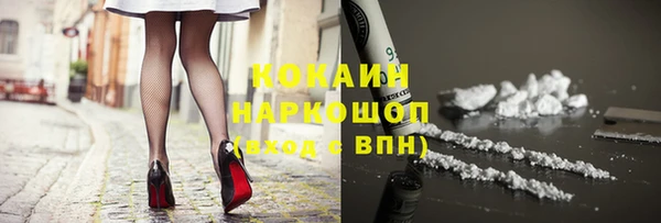 индика Аркадак
