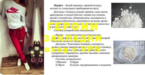 индика Аркадак