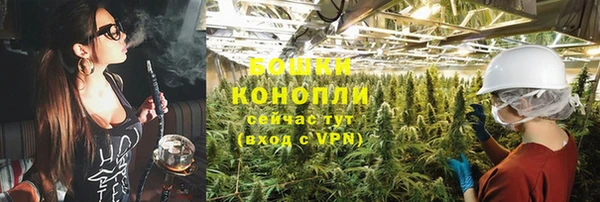 ПСИЛОЦИБИНОВЫЕ ГРИБЫ Армянск