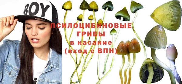 ПСИЛОЦИБИНОВЫЕ ГРИБЫ Армянск