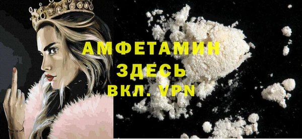 индика Аркадак