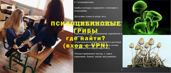 экстази Арсеньев